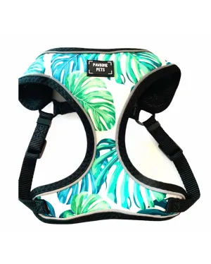 Adjustable PET HARNESS