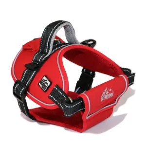 Ancol Extreme Red Harness