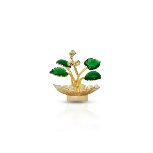 Bring a Sense of Peace and Devotion to Your Life with Our Loving Tulsi Plant