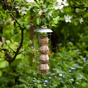 Chapelwood Wild Bird Suet Ball Feeder