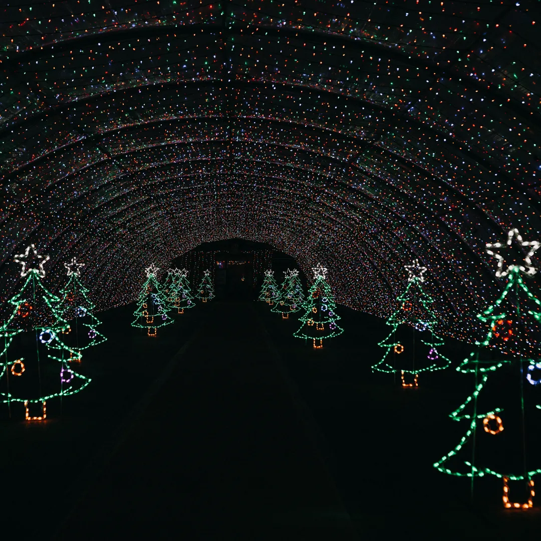 Friday, December 20th