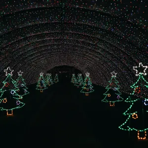 Friday, December 20th