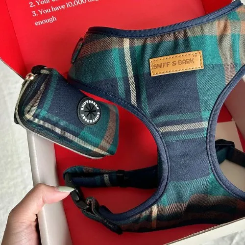 Gentleman Bundle