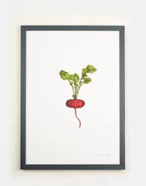 Radish Vegetable Print (Seconds)