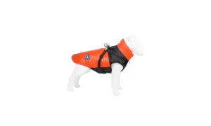 Waterproof Winder Dog Jacket