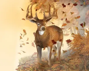 White-Tailed Deer